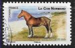 2013 FRANCE Adhesif 814 oblitr, cachet rond, cheval, cos normand