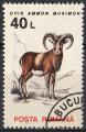 Roumanie 1993; Y&T 4099; 40 L, faune, mouflon