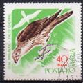 ROUMANIE N 2280 o Y&T 1967 Oiseaux de proie (Faucon sacr)