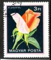 Hongrie Yvert N2811 oblitr 1982 Rose Invitation