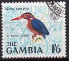 gambie - n 216  obliter - 1966