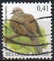 BELGIQUE N 3129 o Y&T 2002 Oiseaux (Tourterelle Turque)