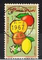 Maroc / 1966 / Agrumes / YT n 309 oblitr