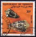 Djibouti (Rp.) 1982 - Coquillage: conus acuminatus - YT 611 