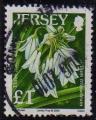 Jersey 2005 - Fleur sauvage : ail  3 angles, obl./used - YT 1226 / SG 1232 