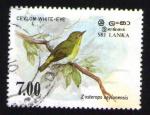 SRI LANKA Oblitration ronde Oiseau Bird Ceylon White Eye Zostrops de Ceylan