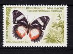 AF28 - Anne 1960 - Yvert n 345** - Diadme de Madagascar (Hypolimnas dexithea)