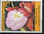 Timbre de BULGARIE 1986  Obl  N 2988   Y&T  Orchides