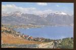 CPSM neuve Suisse LAVAUX et le Lac Lman