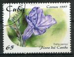 Timbre de CUBA 1997  Obl  N 3671  Y&T  Fleurs