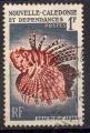 Nouvelle Caldonie : Y.T. 291 - Poisson : Brachyrus zebra - oblitr - 1959