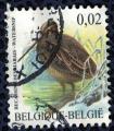 Belgique 2004 Oblitr rond Used Oiseau Gallinago gallinago Bcassine des Marais