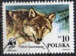 POLOGNE N 2788 o Y&T 1985 Protection des loups