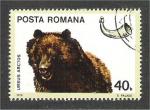 Romania - Scott 2645  bear / ours