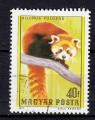 EUHU - 1977 - Yvert n 2587 - Panda roux (Ailurus fulgens)