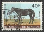 Sngal 1971; Y&T n 343; 40F faune, amlioration de la race chevaline