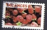 TIMBRE FRANCE 2009 - YT AA 325 - VACANCES - Framboises - fruits