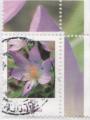 Allemagne 2005 - Fleur : crocus, coin avec marges oblitr - YT 2305 
