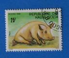 Haute-Volta 1981 - Nr 564 - Porc (Obl)