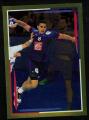Panini Handball 2017 Daniel Narcisse France Sticker N 33