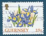 Guernesey N642 Iris idal oblitr