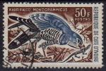 Cte d'Ivoire (Rp) 1965 - Oiseau/Bird: autour ou buse unibande, obl. - YT 241 