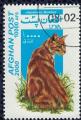 Afghanistan 2000 Oblitr rond Used Cat Chat Bobtail japonais SU