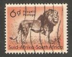 South Africa - Scott 207   lion