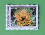 NC 1983 - Nr 470 - Fleur Xanthostemon Aurantiacum (Obl) 