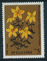 Bulgarie 1981 - YT 2602 - oblitr - Millepertuis (Hypericum perforatum)