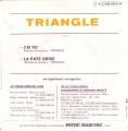 SP 45 RPM (7")  Triangle  "  J'ai vu  "