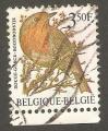 Belgium - Scott 1221  bird / oiseau