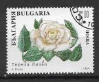 Bulgarie N 3595 roses   1994