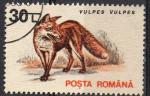 Roumanie 1993; Y&T 4098; 30 L, faune, renard roux