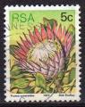 AFRIQUE DU SUD N 420 Y&T o 1977 fleurs (protea cynaroides)
