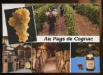 CPM au Pays du Cognac Multi Vues 