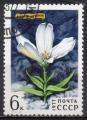 URSS N 4369 o Y&T 1977 Fleurs des montagnes (Cerasticem maxinicem)
