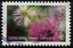 France 2019 Oblitr closion L'Osteospermum Marguerite africaine Y&T 1716 SU