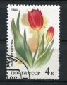 Timbre Russie & URSS 1986  Obl  N 5275   Y&T  Fleurs
