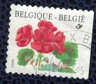 Belgique 1999 oblitr rond Used Flowers Fleurs Granium Plargonium