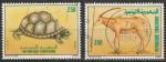 Srie de 2 TP oblitrs n 1131/1132(Yvert) Tunisie 1989 - Tortue et antilope