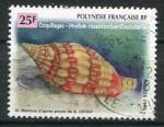 Timbre POLYNESIE FRANCAISE  1996  Obl  N 505  Y&T  Coquillages