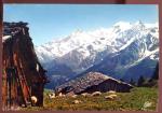 CPM Bergerie face au Massif du Mont Blanc Moutons