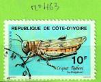 INSECTES - COTE D'IVOIRE YT  N463 OBLIT