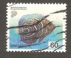 Singapore - SG 1133   fish / poisson