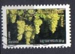 Timbre France 2012 - YT A 688 - Des fruits pour une lettre verte : Raisins blanc
