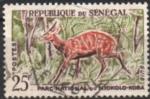 Sngal (Rp.) 1960 - Faune/Fauna (parc Niokolo-Koba): Gazelle Guib - YT 202 