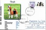Envelope circulée, 2023, Roumanie, Dog Breeds Encyclopedia, Beagle