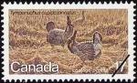 Canada 1980 Y&T 733 NEUF Faune