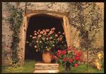 CPM  DOUE LA FONTAINE  Cit des Roses dans les grottes des arnes journes de la Rose mi-juillet